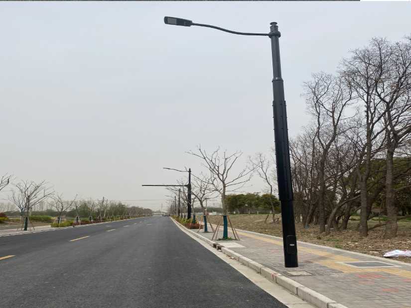 青川县上海综合杆 太阳能路灯工程